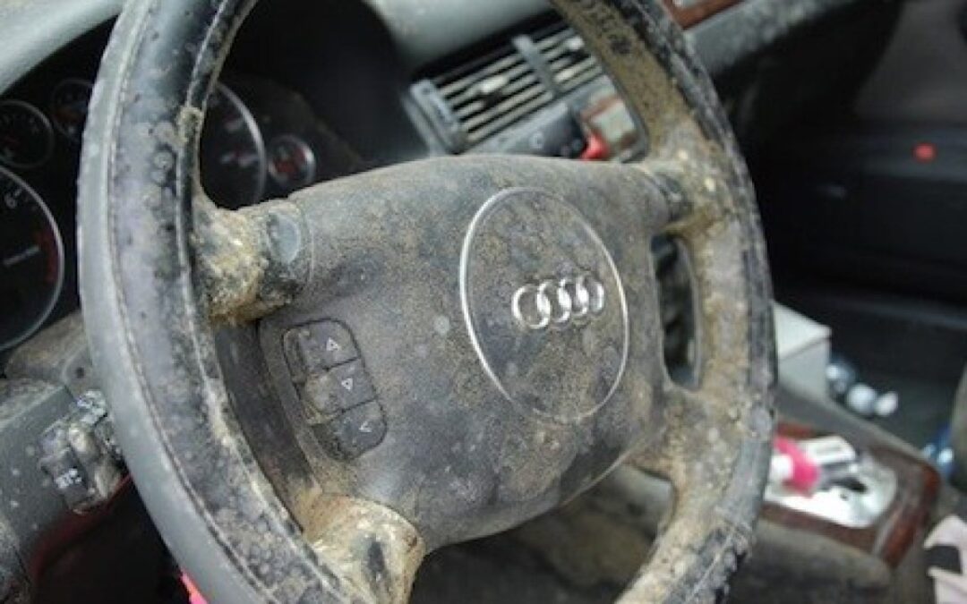 Moldy car steering wheel