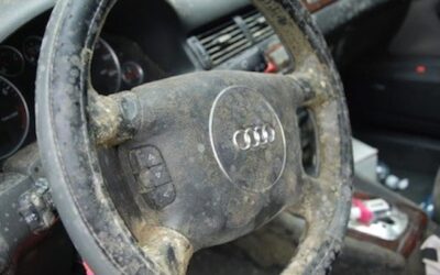 What causes mold to grow in a car