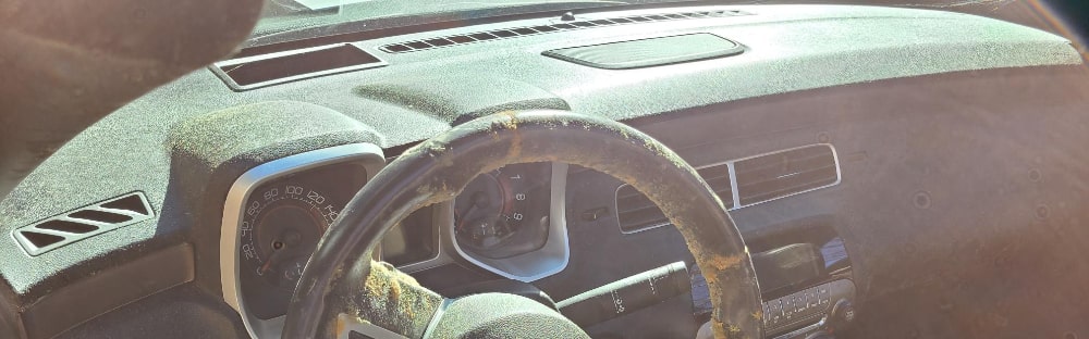Mold on Car Dash