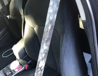 Seatbelts and Mold