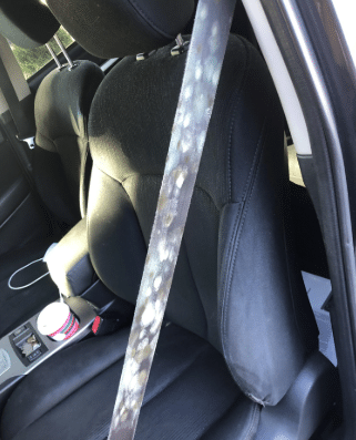 Seatbelts and Mold
