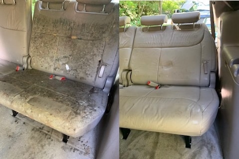 Car Mold Remediation