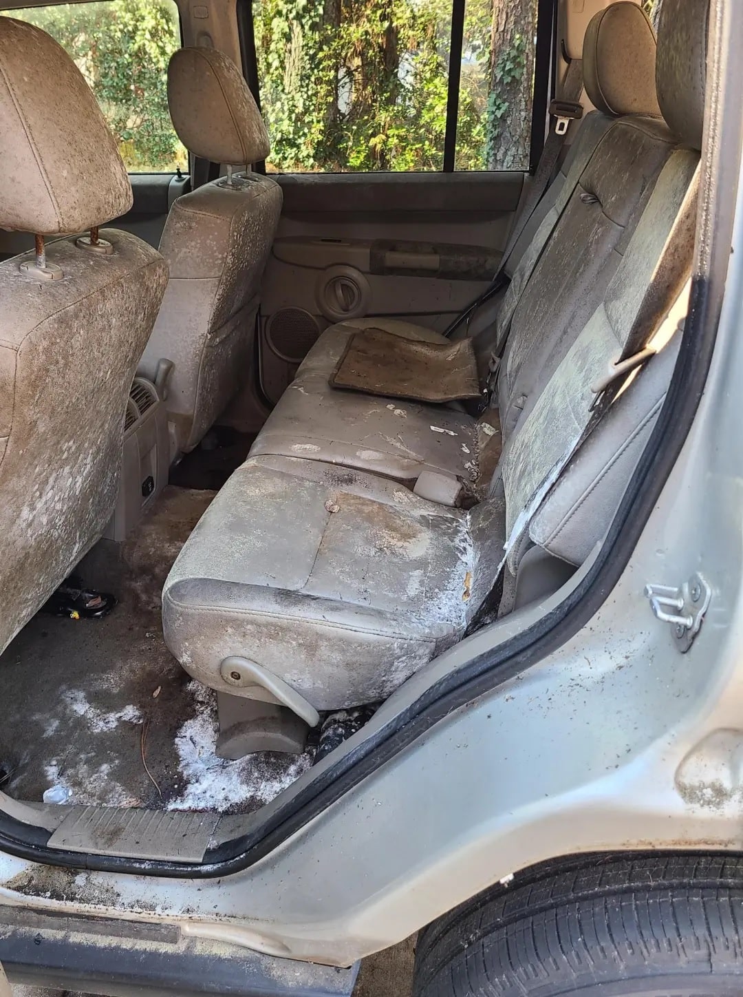 Photo of Moldy Backseat before remediation