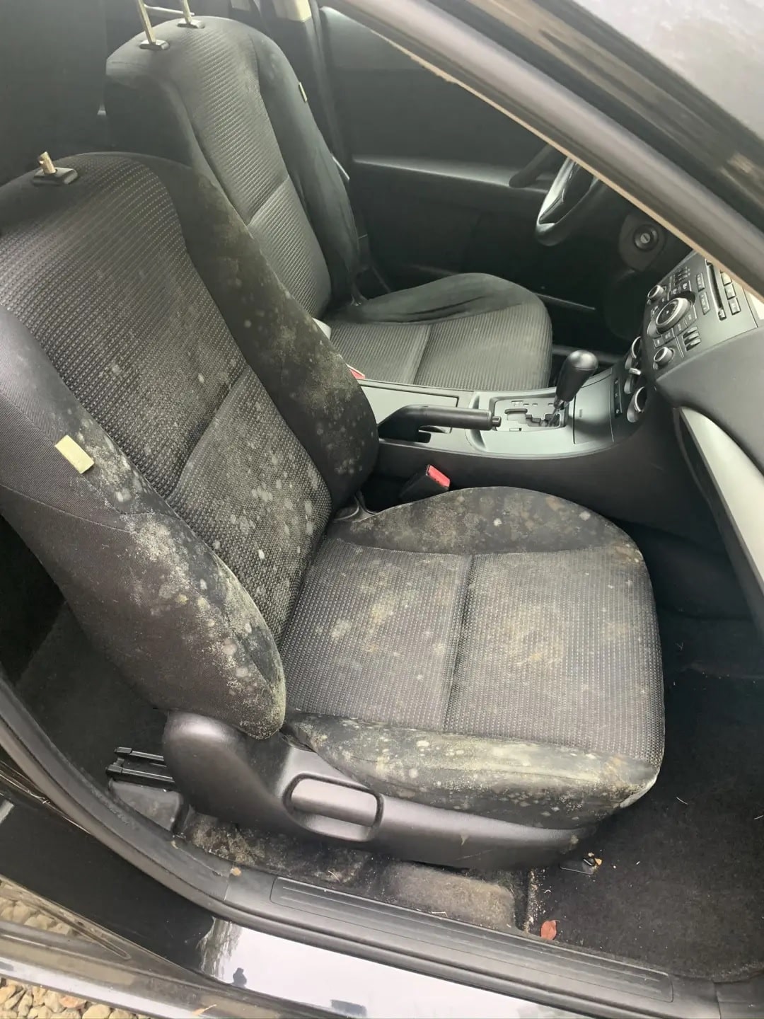 Car Mold Remediation