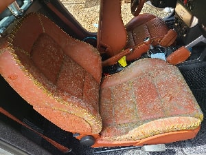 Is Car Mold a Common Problem?