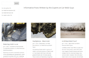 Car Mold Guys Articles on Car Mold
