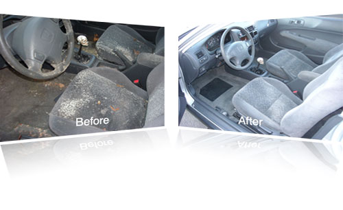 Car Mold Removal Services