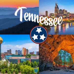 Tennessee Car Mold Remediation near me